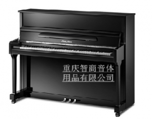 昆明珠江银河系列 UP118YH